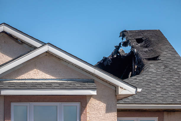 Top rated local Odor Removal specialists in Inver Grove Heights, MN